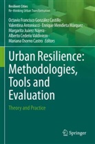 Valentina Antoniucci, Alberto Cedeño Valdiviezo, Octavio Francisco González Castillo, Margarita Juárez Nájera, Enrique Mendieta Márquez, Enri Mendieta Márquez et al... - Urban Resilience: Methodologies, Tools and Evaluation