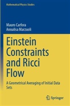 Mauro Carfora, Annalisa Marzuoli - Einstein Constraints and Ricci Flow