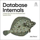 Alex Petrov, Mike Chamberlain - Database Internals (Hörbuch)