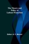 A. C. Morant - The Theory and Policy of Labour Protection