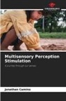 Jonathan Camino - Multisensory Perception Stimulation