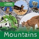 John Wood - Mountains