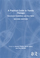 Andrew (Australia) James Wallis, Kerrie James, Paul Rhodes, Rhodes Paul, Andrew Wallis, Wallis Andrew - Practical Guide to Family Therapy