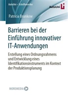Patricia Brunkow - Barrieren bei der Einführung innovativer IT-Anwendungen