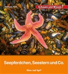 Barbara Rath - Seepferdchen, Seestern und Co.