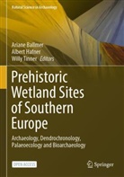 Ariane Ballmer, Albert Hafner, Willy Tinner - Prehistoric Wetland Sites of Southern Europe