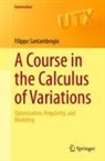 Filippo Santambrogio - A Course in the Calculus of Variations