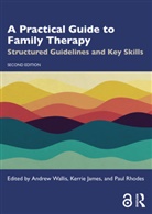 Andrew (Australia) James Wallis, Kerrie James, Paul Rhodes, Rhodes Paul, Andrew Wallis, Wallis Andrew - Practical Guide to Family Therapy
