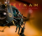 L Hostetler, David Levinthal, David Levinthal - David Levinthal