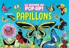 David Hawcock - Papillons