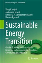 Naveen Agarwal, Anshuman Jaswal, Vinay Kandpal, Santibanez Gonzale, Ernesto D. R. Santibanez Gonzalez, Ernesto D.R. Santibanez Gonzalez - Sustainable Energy Transition