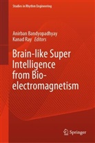 Anirban Bandyopadhyay, Ray, Kanad Ray - Brain-like Super Intelligence from Bio-electromagnetism
