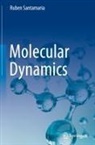 Ruben Santamaria - Molecular Dynamics