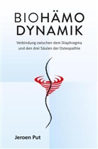 Jeroen Put - Biohämodynamik