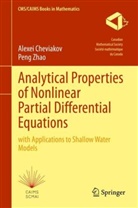 Alexei Cheviakov, Shanghai Maritime University, Peng Zhao - Analytical Properties of Nonlinear Partial Differential Equations
