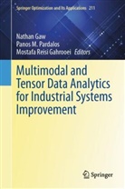 Mostafa Reisi Gahrooei, Nathan Gaw, Panos M Pardalos, Panos M. Pardalos, Mostafa Reisi Gahrooei - Multimodal and Tensor Data Analytics for Industrial Systems Improvement