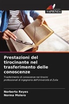 Norma Molero, Norberto Reyes - Prestazioni del tirocinante nel trasferimento delle conoscenze