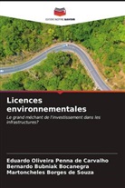Martoncheles Borges de Souza, Bernardo Bubniak Bocanegra, Eduardo Oliveira Penna de Carvalho - Licences environnementales