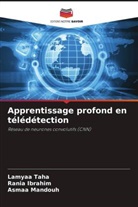 Rania Ibrahim, Asmaa Mandouh, Lamyaa Taha - Apprentissage profond en télédétection