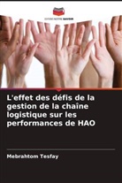 Mebrahtom Tesfay - L'effet des défis de la gestion de la chaîne logistique sur les performances de HAO