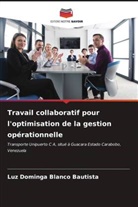 Luz Dominga Blanco Bautista - Travail collaboratif pour l'optimisation de la gestion opérationnelle