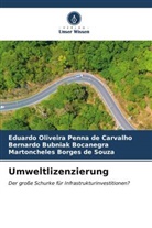 Martoncheles Borges de Souza, Bubniak Bocane, Bernardo Bubniak Bocanegra, Eduardo Oliveira Penna de Carvalho - Umweltlizenzierung