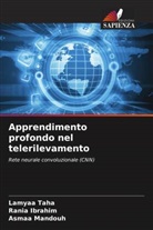 Rania Ibrahim, Asmaa Mandouh, Lamyaa Taha - Apprendimento profondo nel telerilevamento