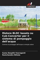 Ramchandra Nittala, Suma Deepthi Veeraganti - Motore BLDC basato su Cuk-Converter per il sistema di pompaggio dell'acqua