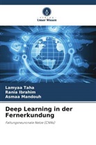 Rania Ibrahim, Asmaa Mandouh, Lamyaa Taha - Deep Learning in der Fernerkundung
