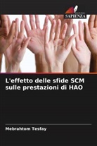 Mebrahtom Tesfay - L'effetto delle sfide SCM sulle prestazioni di HAO