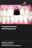 Sarathchandra Govindaraj, Joephin Soundar, Amalorpavam V. - Progettazione dell'impianto