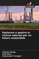 Chetana Anugu, Srija Sheri, Veeraswami Yaragani - Esplorare e gestire le risorse naturali per un futuro sostenibile