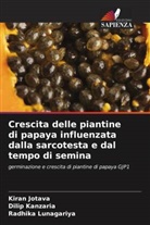 Kiran Jotava, Dilip Kanzaria, Radhika Lunagariya - Crescita delle piantine di papaya influenzata dalla sarcotesta e dal tempo di semina