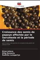 Kiran Jotava, Dilip Kanzaria, Radhika Lunagariya - Croissance des semis de papaye affectée par le Sarcotesta et la période de semis