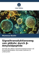 Muneesa Bashir - Signaltransduktionsweg von p66shc durch beta-Amyloidpeptide
