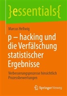 Marcus Hellwig - p - hacking und die Verfälschung statistischer Ergebnisse