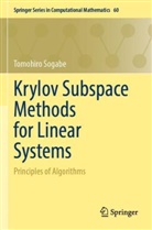 Tomohiro Sogabe - Krylov Subspace Methods for Linear Systems