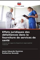 Katherine Boswijk, Jesús Eduardo Ramirez - Effets juridiques des défaillances dans la fourniture de services de santé