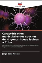 Jorge Sosa Puente - Caractérisation moléculaire des souches de N. gonorrhoeae isolées à Cuba