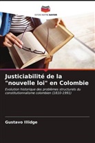 Gustavo Illidge - Justiciabilité de la "nouvelle loi" en Colombie
