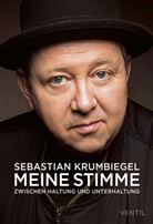 Sebastian Krumbiegel - Meine Stimme
