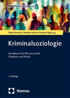 Dieter Hermann, Barbara Horten, Andreas Pöge - Kriminalsoziologie