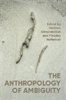 Mahnaz Heffernan Alimardanian, Mahnaz Alimardanian, Timothy Heffernan - Anthropology of Ambiguity