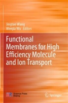 Jingtao Wang, Wu, Wenjia Wu - Functional Membranes for High Efficiency Molecule and Ion Transport