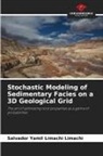 Salvador Yamil Limachi Limachi - Stochastic Modeling of Sedimentary Facies on a 3D Geological Grid