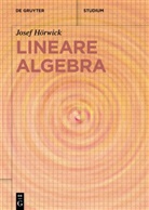 Josef Hörwick - Lineare Algebra