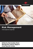 Gilberto Bermúdez Ruíz, Cruz García Lirios, Margarita Juárez Nájera - Risk Management