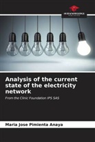 Maria Jose Pimienta Anaya - Analysis of the current state of the electricity network