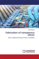 Awad Mogoda - Fabrication of nanoporous silicon