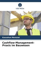 Kassahun Mereawi - Cashflow-Management-Praxis im Bauwesen